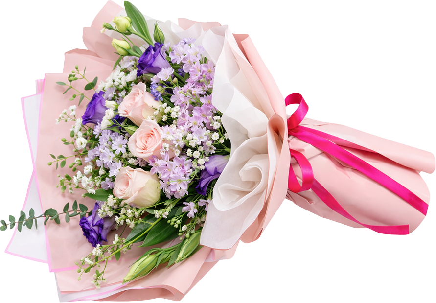 봄의나라 이야기