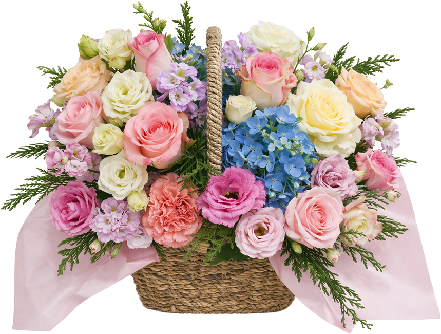 레인보우 로망스